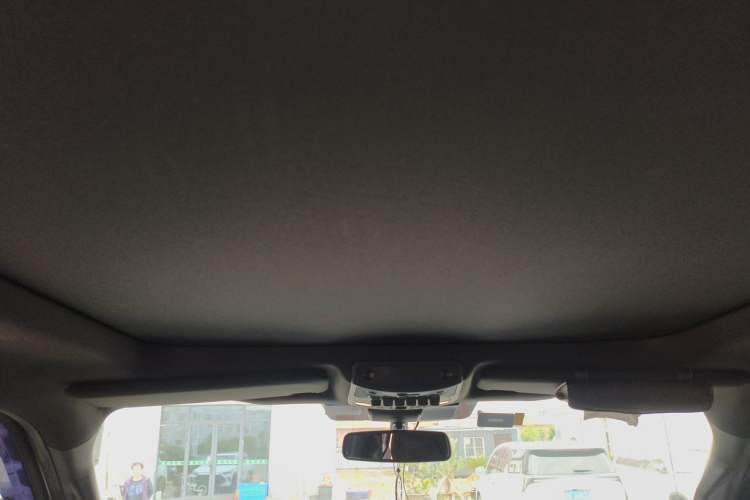 Used Ford F-150 Raptor 2019 3.5T Raptor Performance Enhanced Edition Headliner