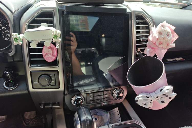 Used Ford F-150 Raptor  Audio And AC Panel