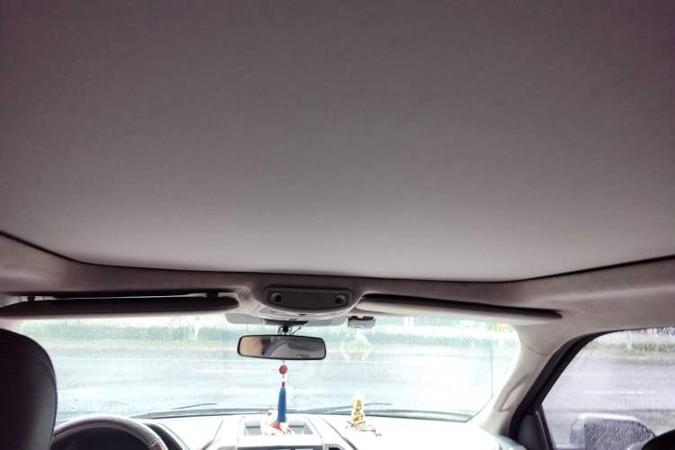 Used Ford F-150 Raptor  Headliner