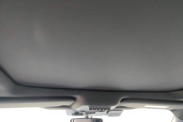Used Ford F-150 Raptor 2022 3.5T Raptor Headliner