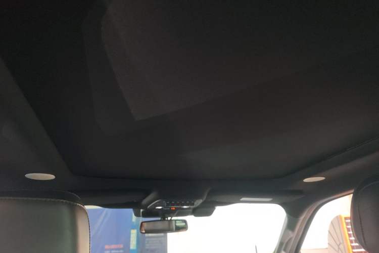 Used Ford F-150 Raptor 2022 3.5T Raptor Headliner