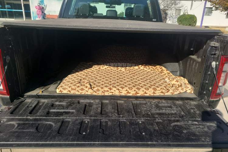 Used Ford F-150 Raptor 2022 3.5T Raptor Trunk