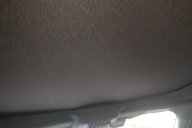Used Ford F-150 Raptor 2022 3.5T Raptor Headliner