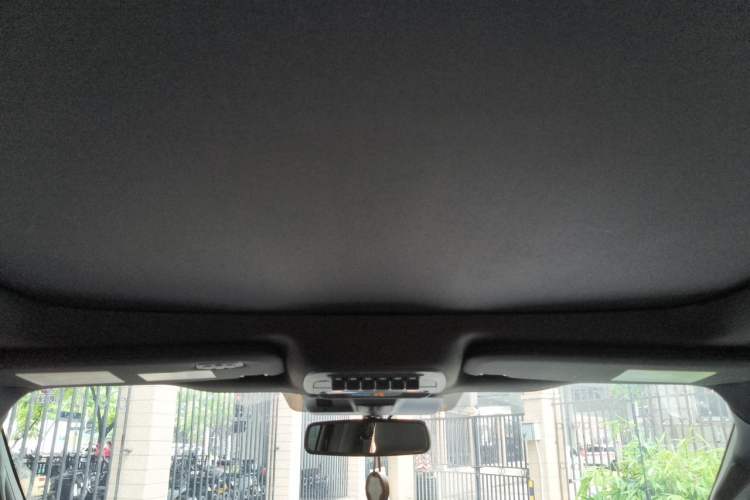 Used Ford F-150 Raptor  Headliner
