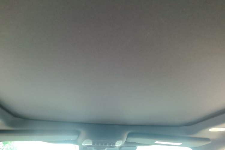 Used Ford F-150 Raptor  Headliner