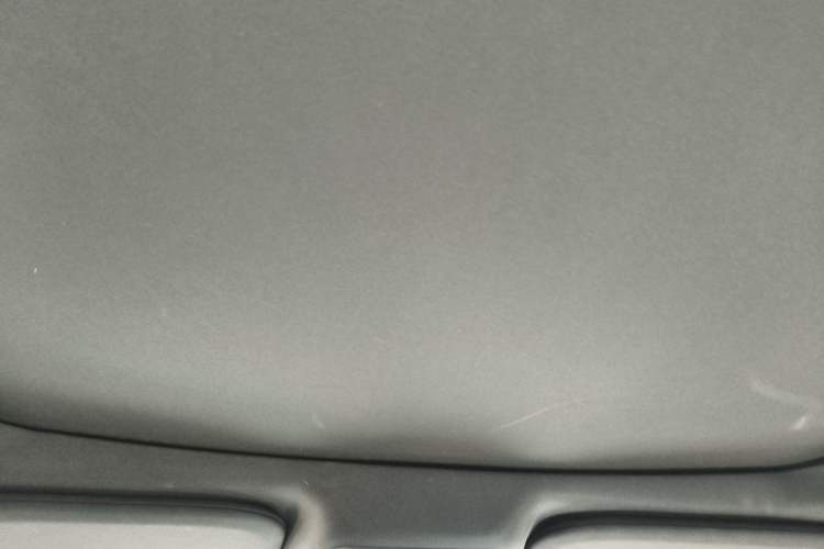 Used Ford F-150 Raptor  Headliner