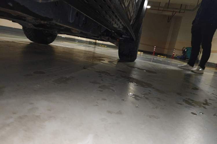 Used Ford F-150 Raptor 2023 3.5T Raptor Chassis Rear Right