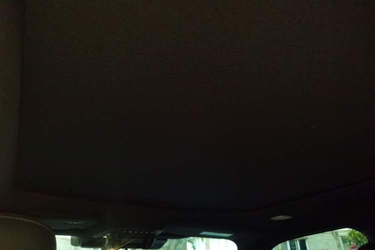 Used Ford F-150 Raptor 2023 3.5T Raptor Headliner