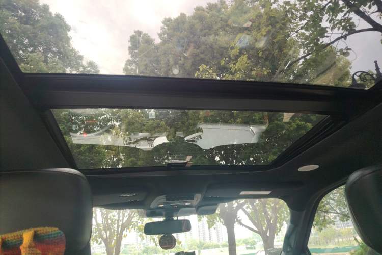 Used Ford F-150 Raptor 2023 3.5T Raptor Headliner
