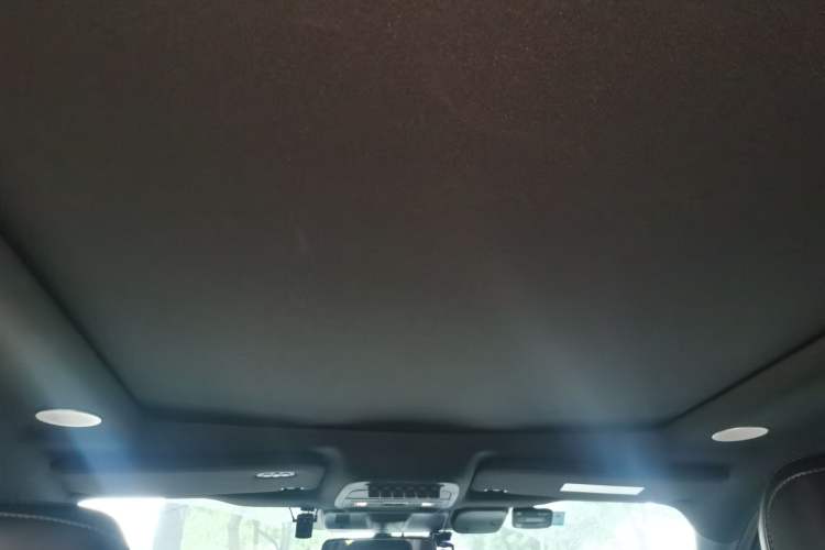Used Ford F-150 Raptor 2023 3.5T Raptor Headliner