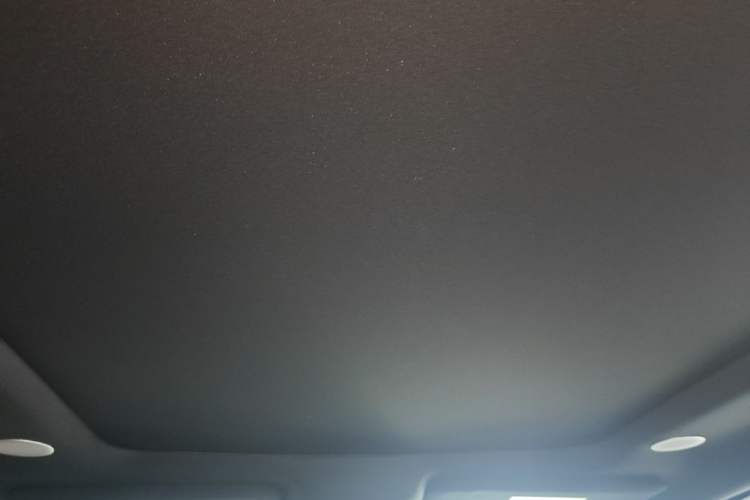 Used Ford F-150 Raptor 2023 3.5T Raptor Headliner