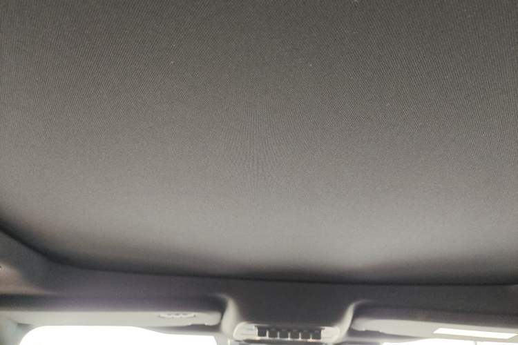 Used Ford F-150 Raptor 2023 3.5T Raptor Headliner