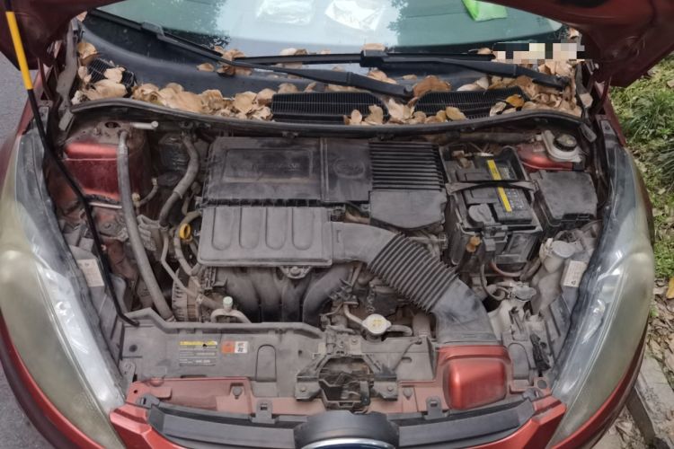 Used Ford Fiesta 2009 Hatchback 1.5L Automatic Sport Model Engine Bay