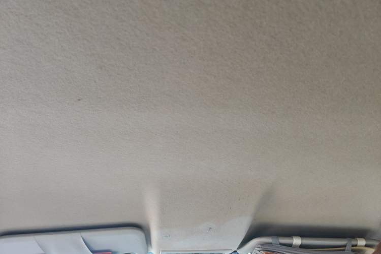 Used Ford Fiesta 2009 Sedan 1.5L Manual Fashion Edition Headliner