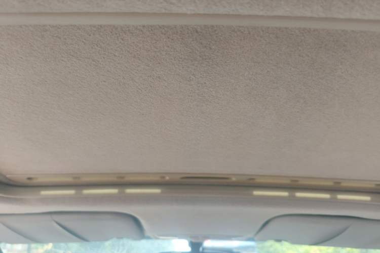 Used Ford Fiesta 2009 Sedan 1.5L Automatic Luxury Model Headliner