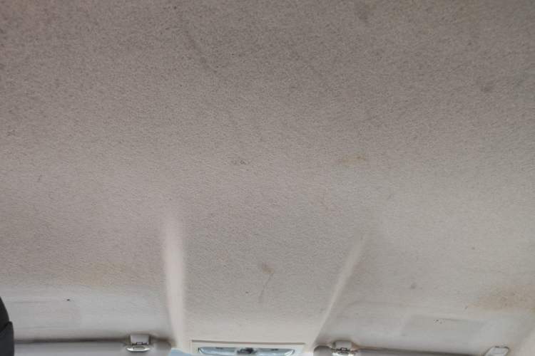 Used Ford Fiesta 2010 Sedan 1.3L Manual Fashion Edition Headliner