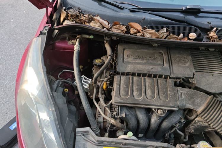 Used Ford Fiesta 2011 Hatchback 1.5L Automatic Fashion Edition Engine Bay Right