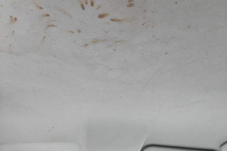 Used Ford Fiesta 2011 Hatchback 1.5L Automatic Fashion Edition Headliner