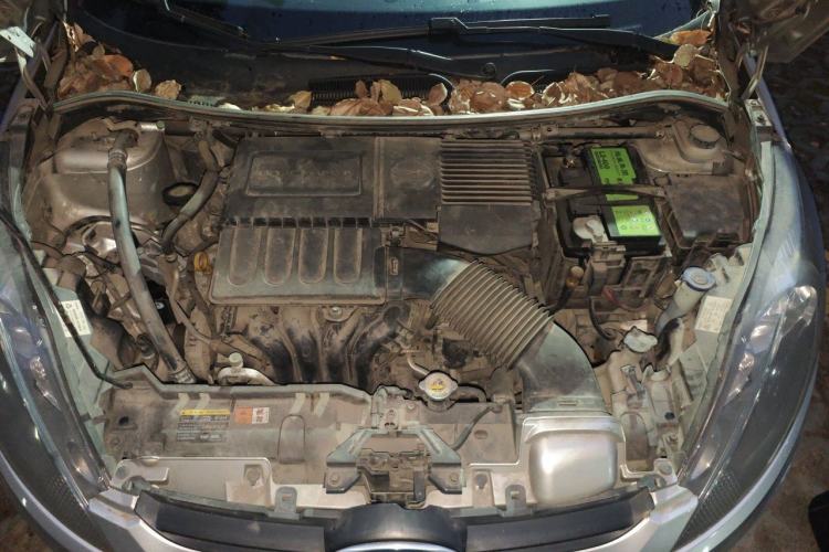 Used Ford Fiesta 2011 Hatchback 1.5L Automatic Fashion Edition Engine Bay