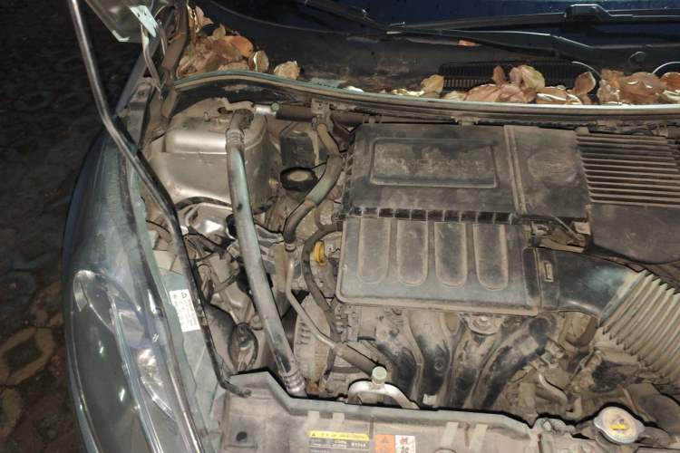 Used Ford Fiesta 2011 Hatchback 1.5L Automatic Fashion Edition Engine Bay Right