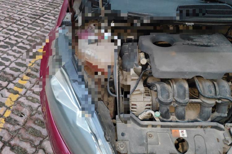 Used Ford Fiesta 2013 Hatchback 1.5L Automatic Fashion Edition Engine Bay Right