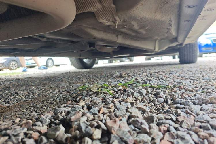 Used Ford Fiesta 2013 Hatchback 1.5L Automatic Prestige Model Chassis Rear