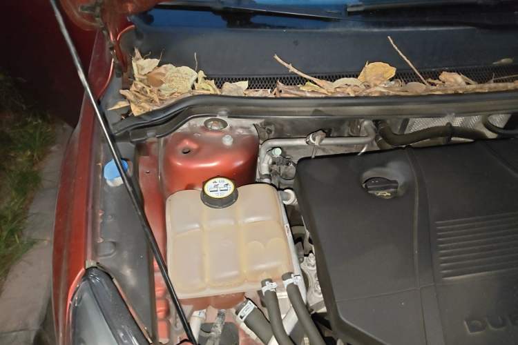 Used Ford Focus 2009 Hatchback 1.8L Automatic Fashion Edition Engine Bay Right