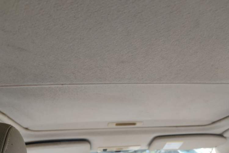 Used Ford Focus 2009 Hatchback 1.8L Automatic Fashion Edition Headliner