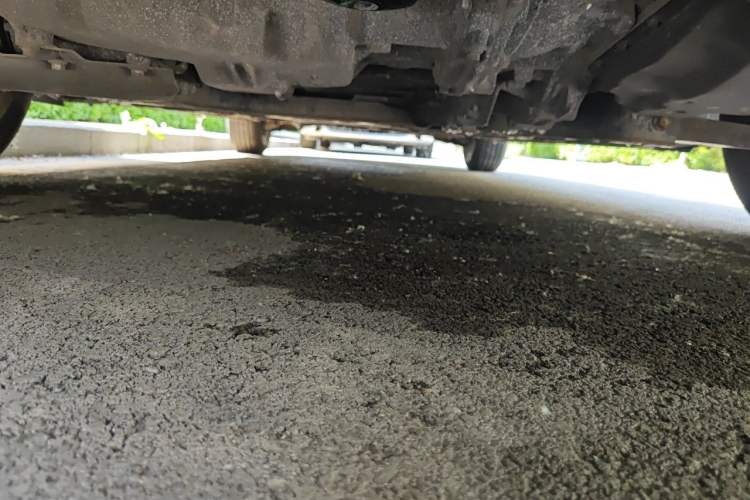 Used Ford Focus 2011 Sedan 1.8L Automatic Fashion Edition Chassis Front