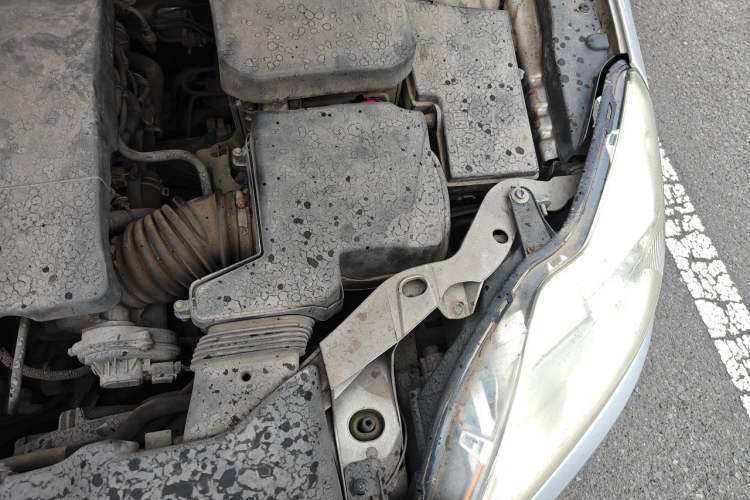Used Ford Focus 2011 Sedan 1.8L Manual Classic Model Engine Bay Left