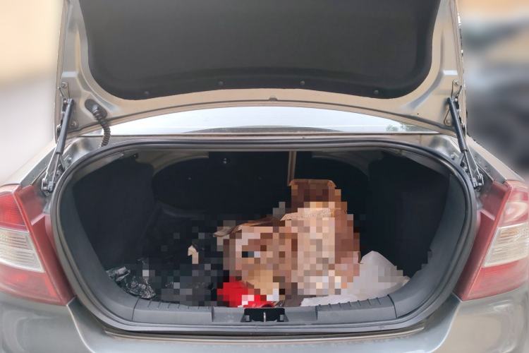 Used Ford Focus 2011 Sedan 1.8L Automatic Fashion Edition Trunk
