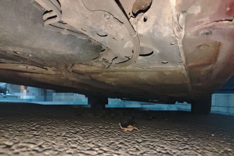 Used Ford Focus 2011 Hatchback 1.8L Manual Comfort Model Chassis Rear Right