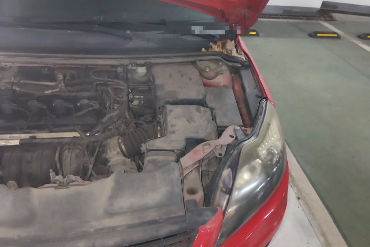 Used Ford Focus 2011 Hatchback 1.8L Manual Comfort Model Engine Bay Left