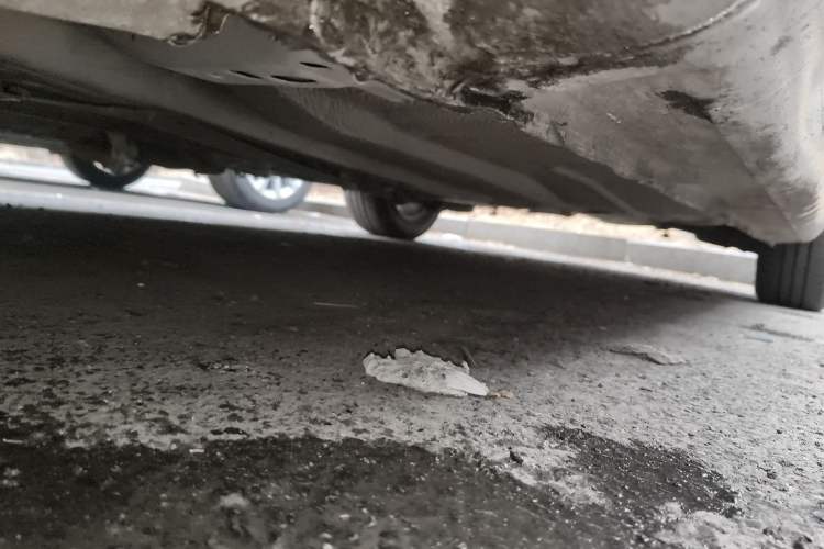 Used Ford Focus 2011 Sedan 1.8L Automatic Fashion Edition Chassis Rear Left