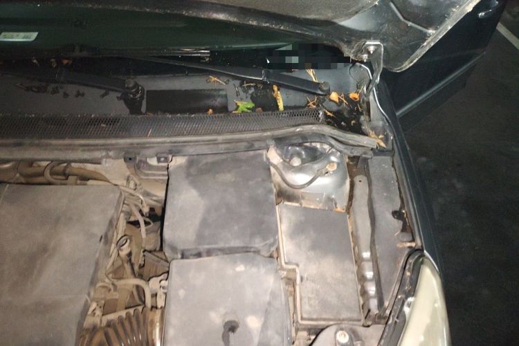 Used Ford Focus 2011 Sedan 1.8L Automatic Fashion Edition Engine Bay Left