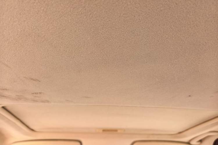 Used Ford Focus 2011 Sedan 1.8L Manual Comfort Model Headliner