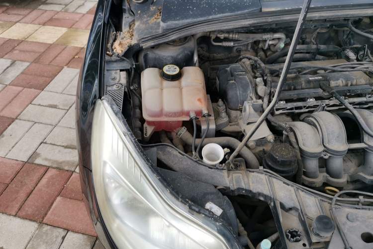 Used Ford Focus 2012 Sedan 1.6L Automatic Comfort Model Engine Bay Right