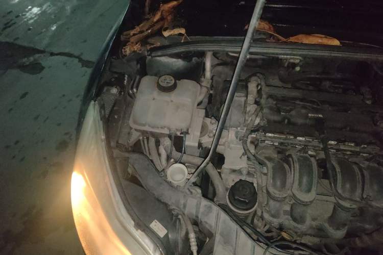 Used Ford Focus 2012 Hatchback 1.6L Automatic Comfort Model Engine Bay Right