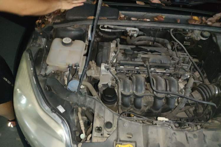 Used Ford Focus 2012 Sedan 1.6L Automatic Fashion Edition Engine Bay Right