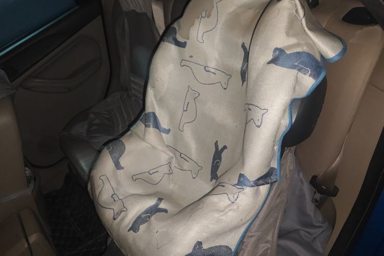 Used Ford Focus 2012 Hatchback Classic 1.8L Automatic Fashion Edition Left Rear Seat
