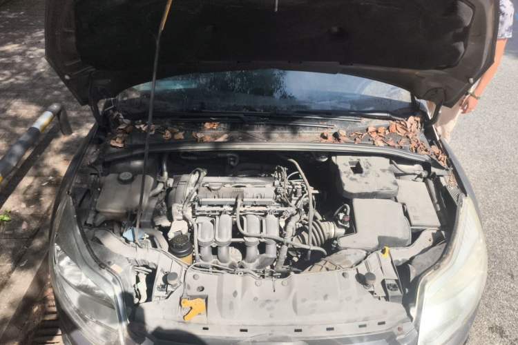 Used Ford Focus 2012 Sedan 1.6L Automatic Comfort Model Engine Bay