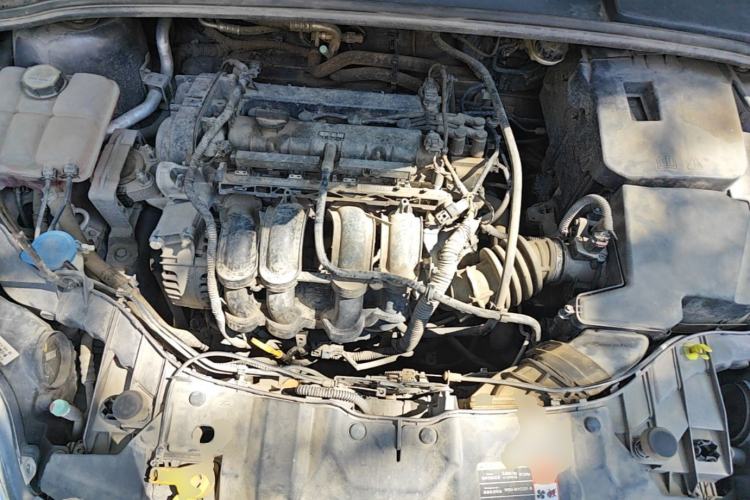Used Ford Focus 2012 Sedan 1.6L Manual Fashion Edition Engine Bay