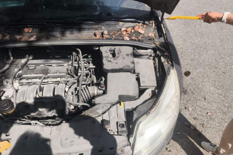 Used Ford Focus 2012 Sedan 1.6L Automatic Comfort Model Engine Bay Left