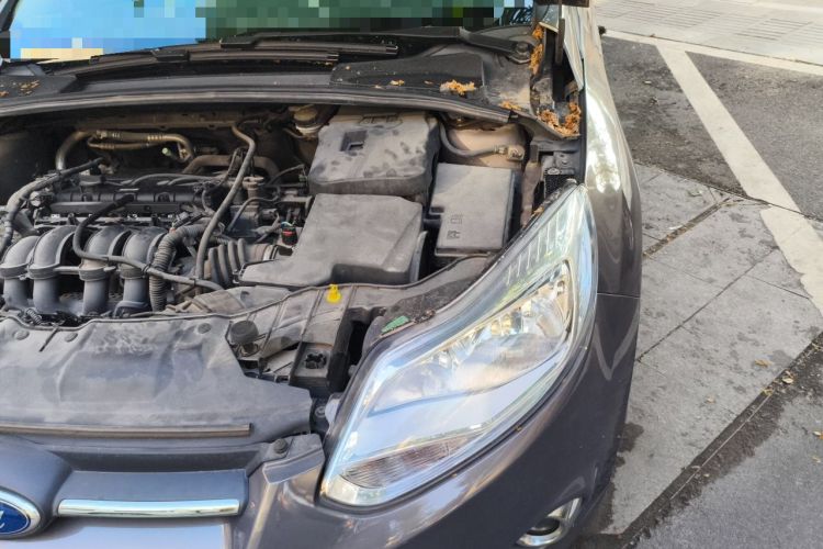 Used Ford Focus 2012 Sedan 1.6L Automatic Fashion Edition Engine Bay Left