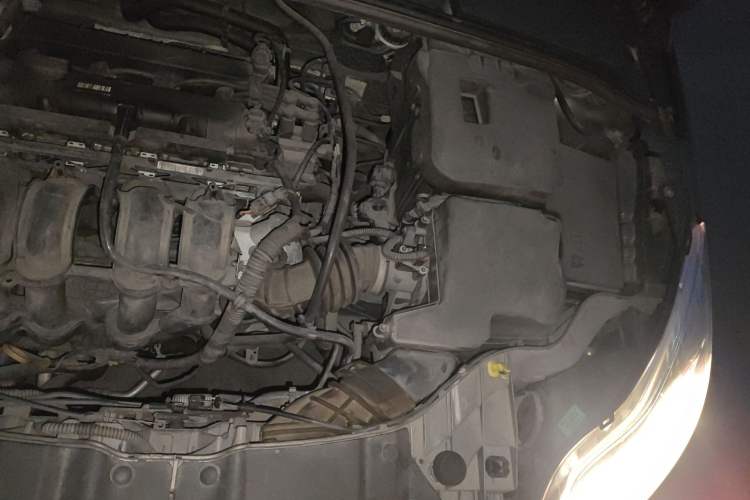 Used Ford Focus 2012 Sedan 1.6L Manual Comfort Model Engine Bay Left