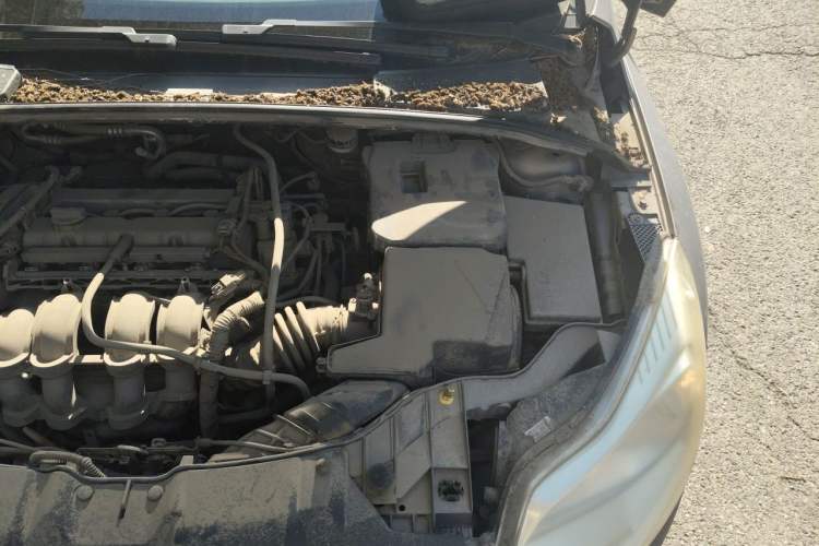 Used Ford Focus 2012 Sedan 1.6L Automatic Fashion Edition Engine Bay Left