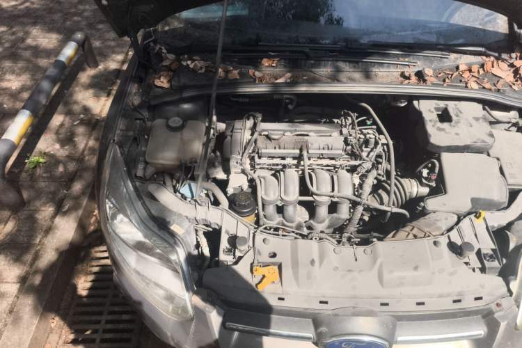 Used Ford Focus 2012 Sedan 1.6L Automatic Comfort Model Engine Bay Right