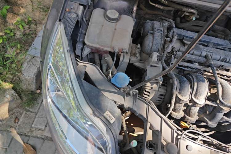 Used Ford Focus 2012 Sedan 1.6L Manual Fashion Edition Engine Bay Right