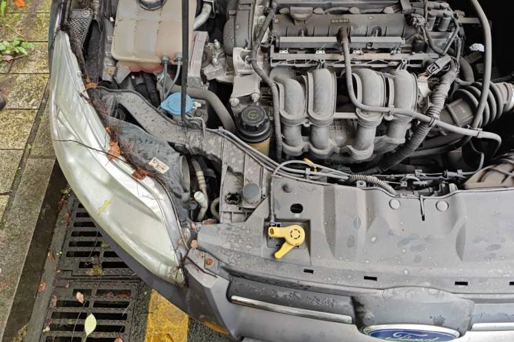 Used Ford Focus 2012 Sedan 1.6L Automatic Comfort Model Engine Bay Right
