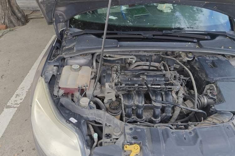 Used Ford Focus 2012 Sedan 1.6L Automatic Fashion Edition Engine Bay Right